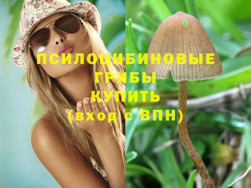 купить закладку  кракен онион  Галлюциногенные грибы MAGIC MUSHROOMS  Белореченск 